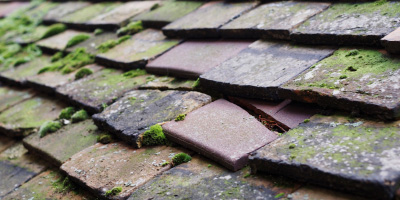 Mount Pleasant roof repair costs